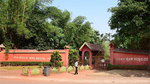 Pilikula biological park